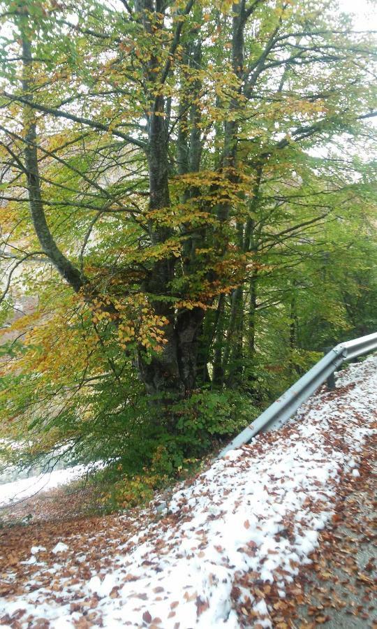 Posada Casa Molleda Pejanda エクステリア 写真